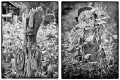 Bangkal_Tiwah_20160313_0224 composite b-w